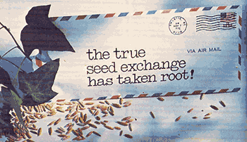 How to Set Up a Seed Exchange Image